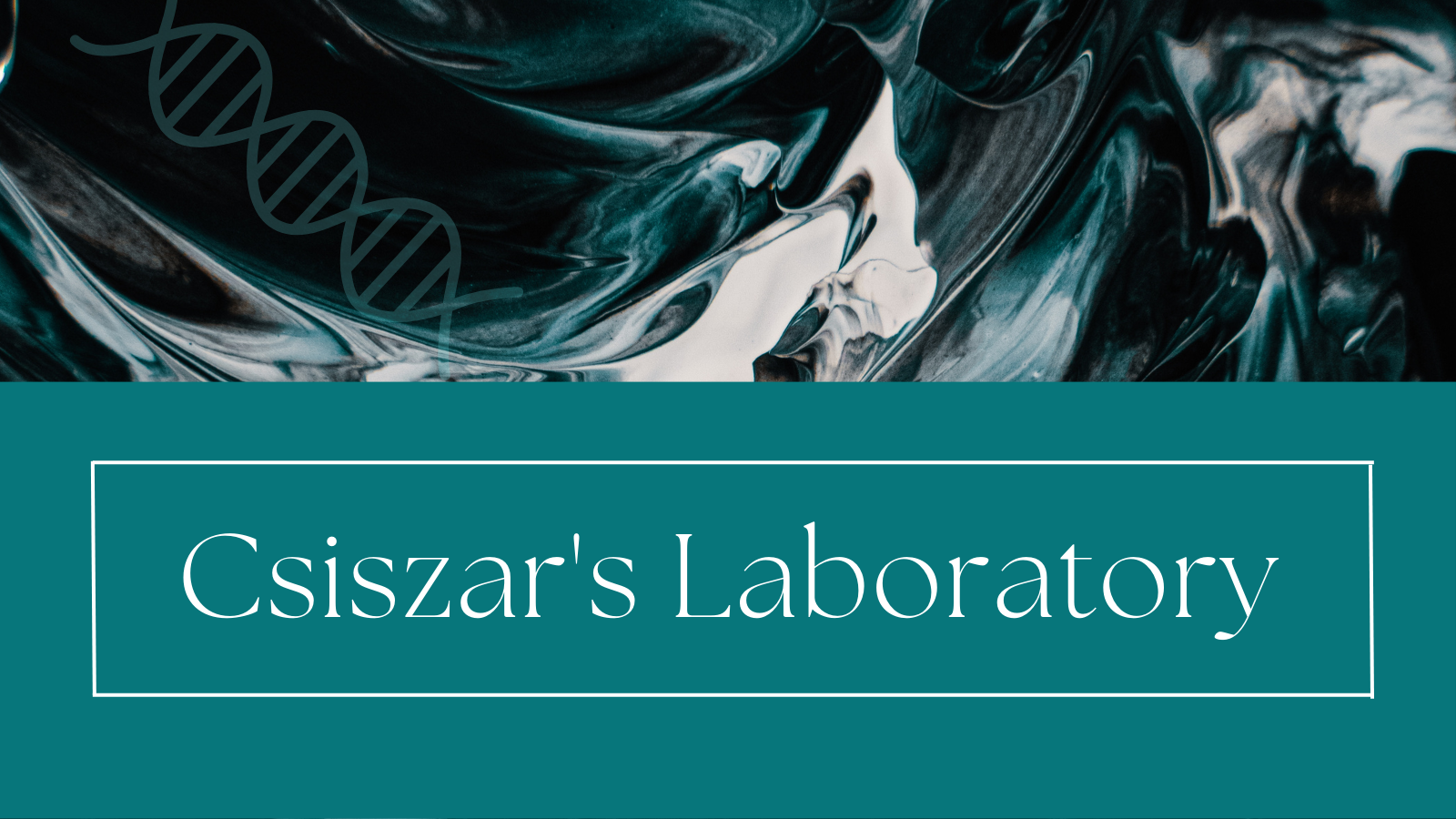 csiszars lab638176286179378905